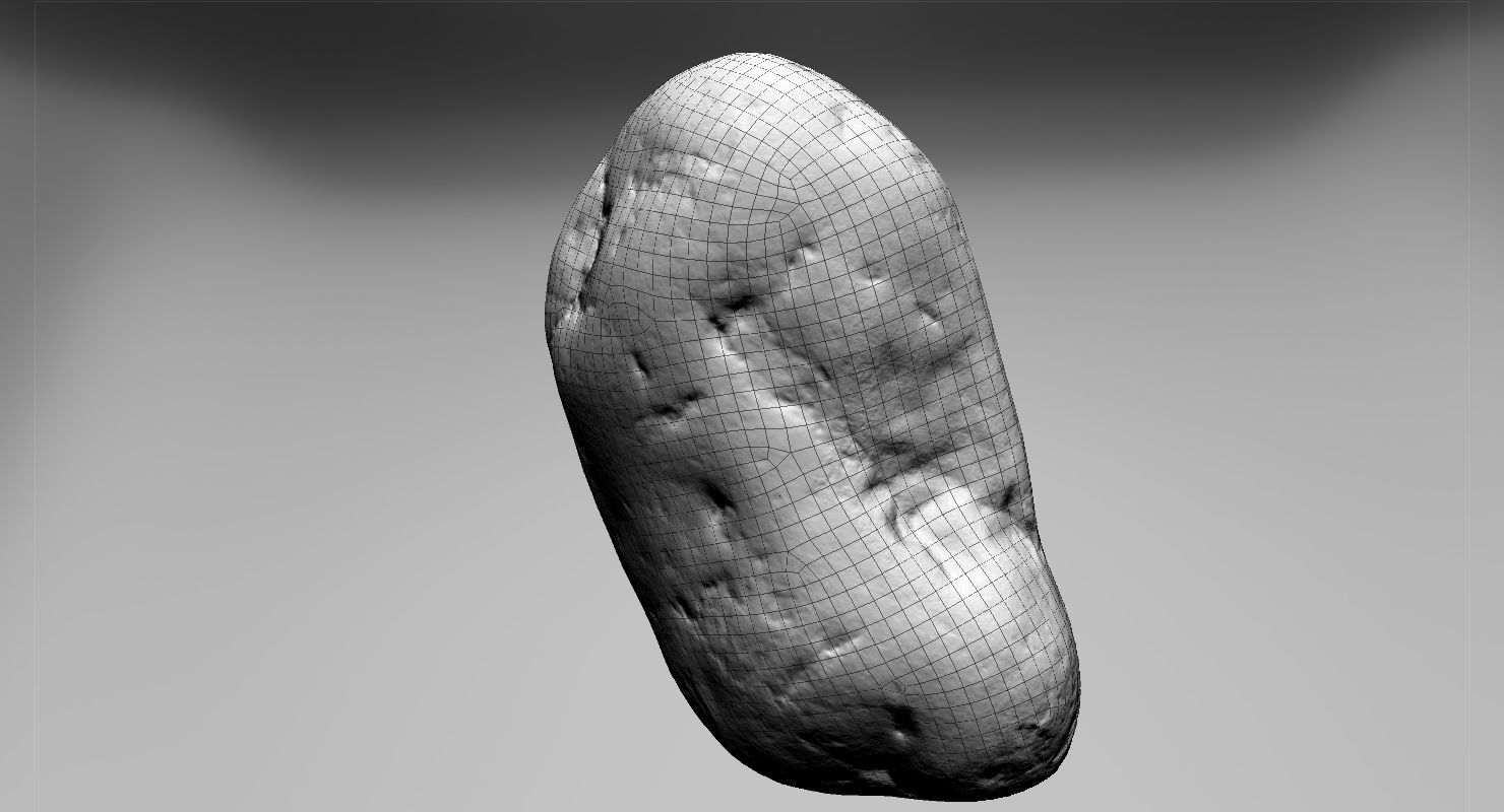 Flat Limestone Pebble 3D model_16