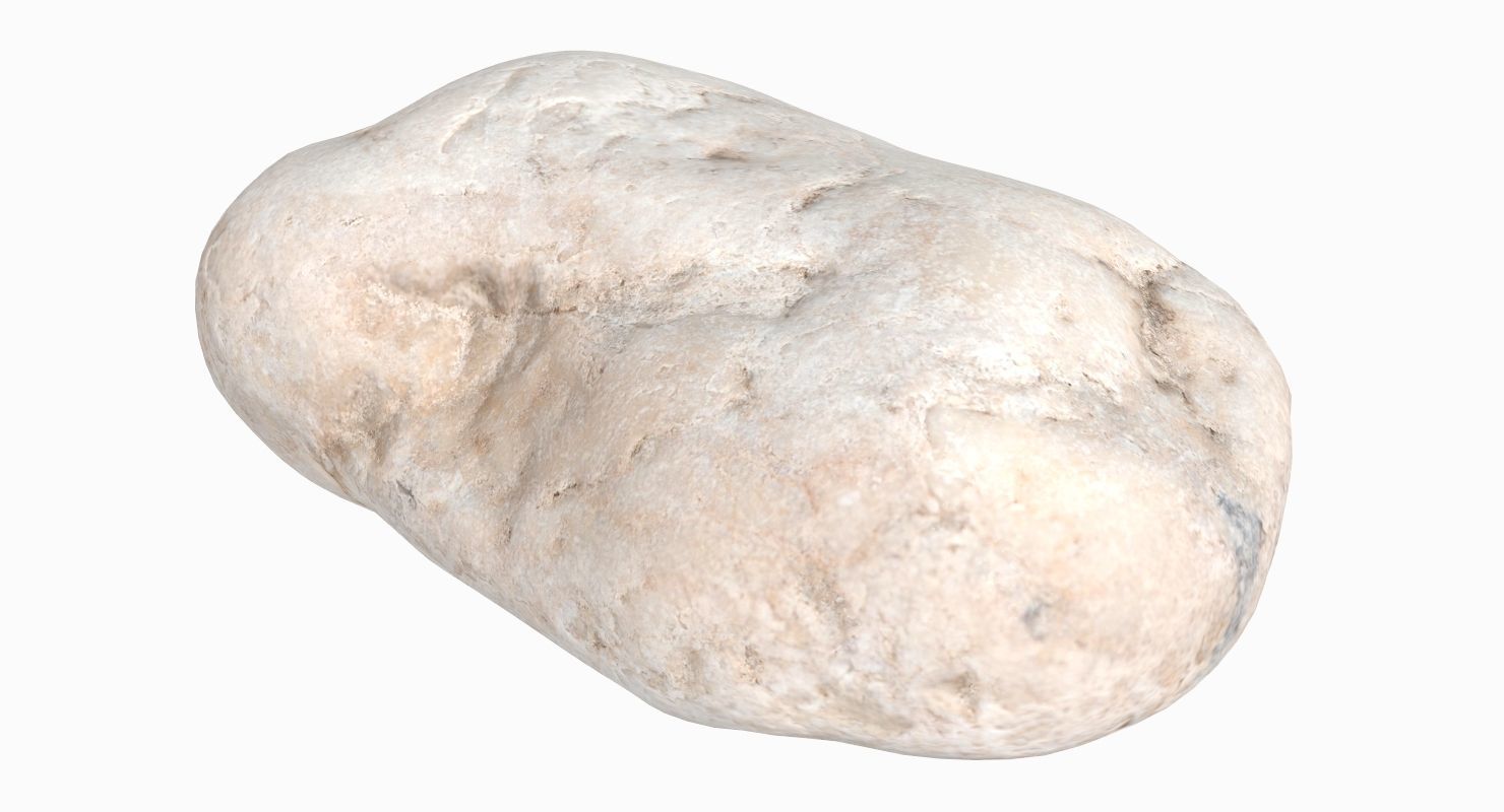 Flat Limestone Pebble 3D model_3