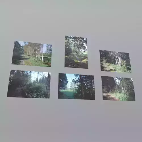 Photos group of pictures on wall