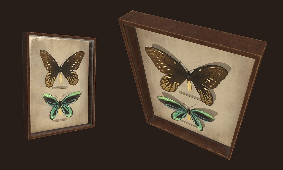 Entomological pictures - PBR Game Ready  Low-poly 3D model_5