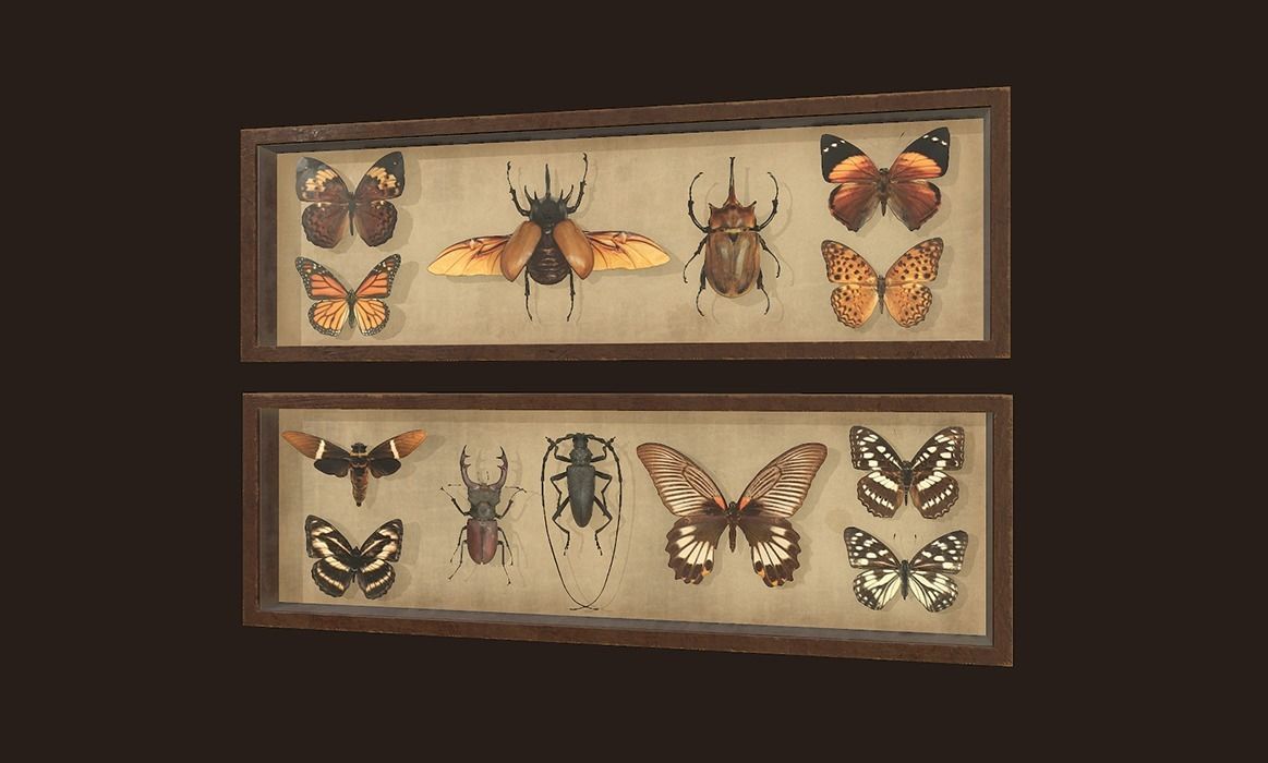 Entomological pictures - PBR Game Ready  Low-poly 3D model_6