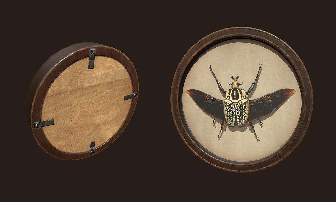 Entomological pictures - PBR Game Ready  Low-poly 3D model_7