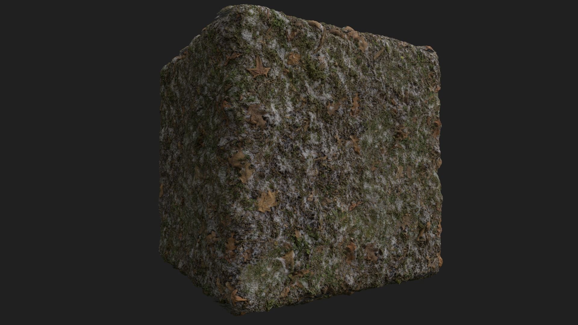 PBR Scanned Snowy Grass Ground 3D model_1