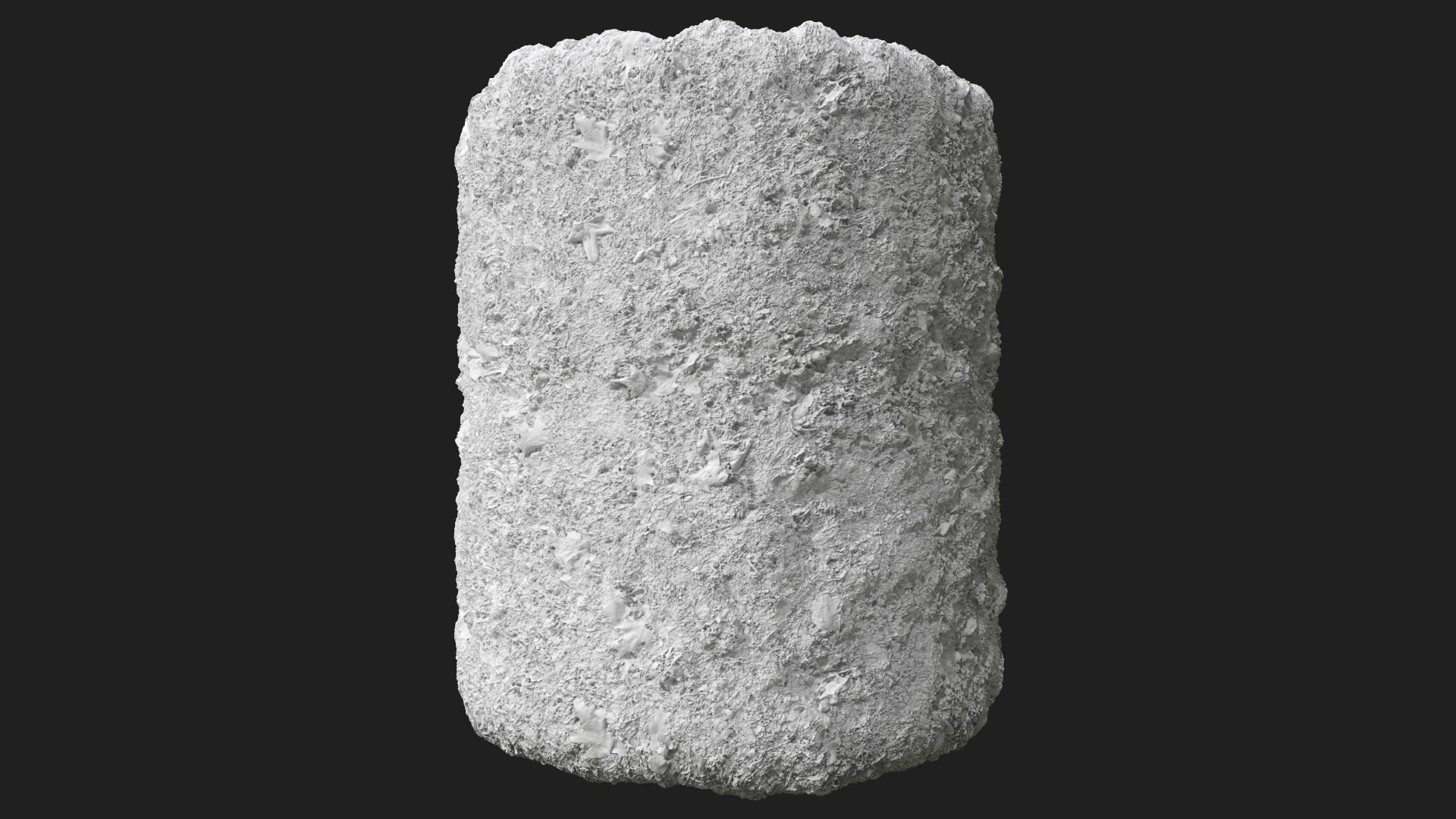 PBR Scanned Snowy Grass Ground 3D model_4