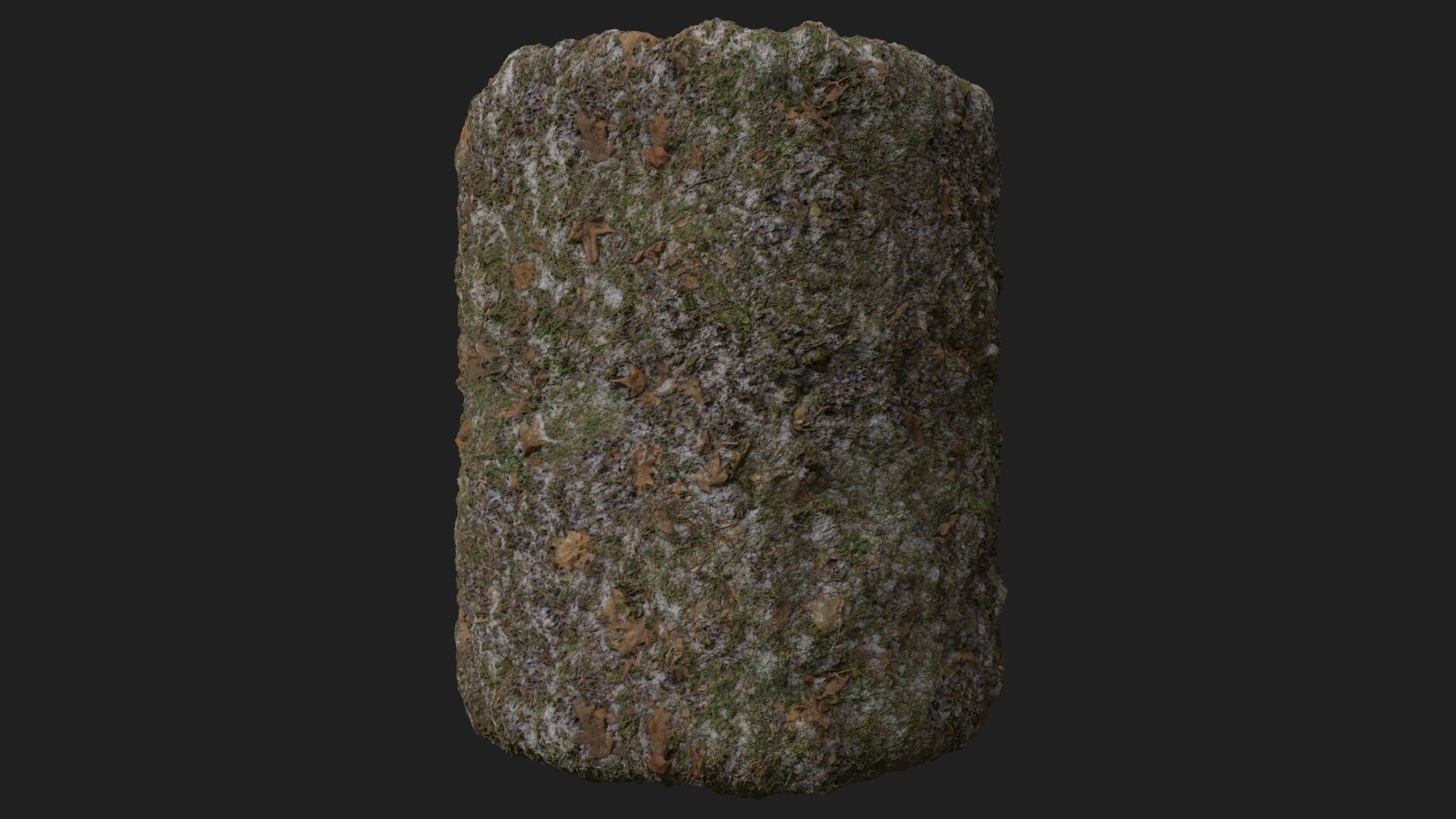 PBR Scanned Snowy Grass Ground 3D model_3