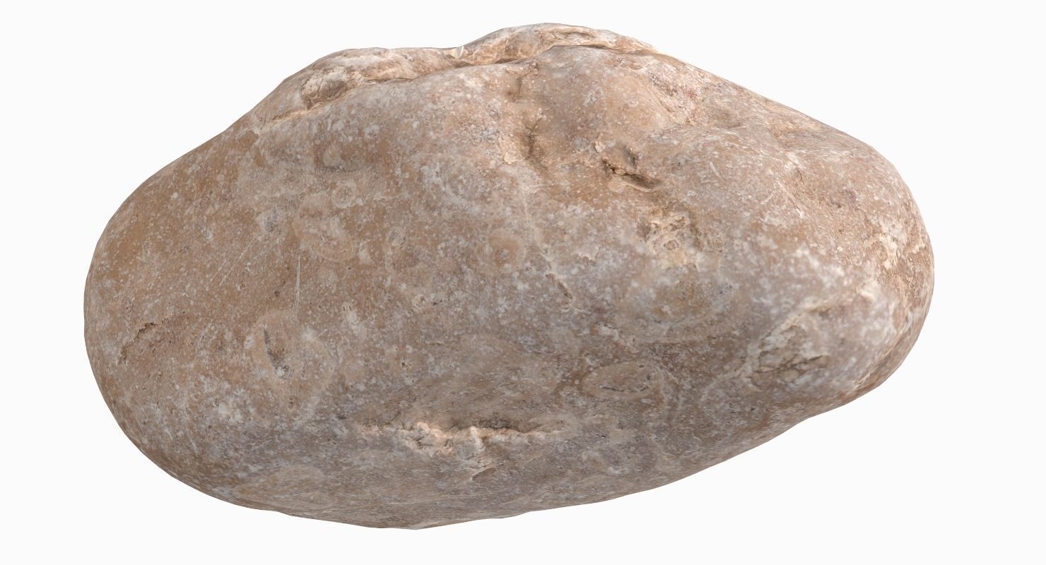 Oblong Rock 3D model_11