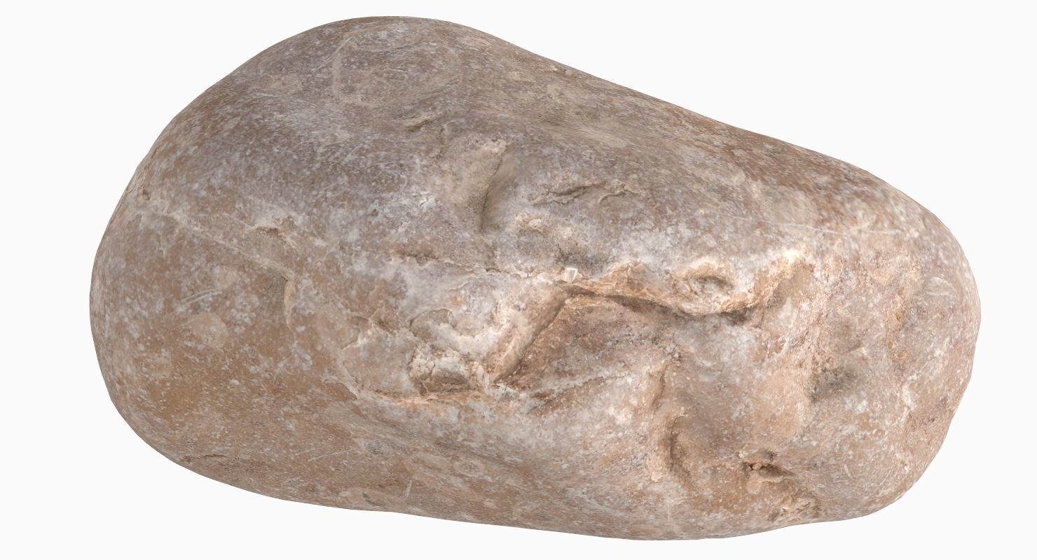 Oblong Rock 3D model_10