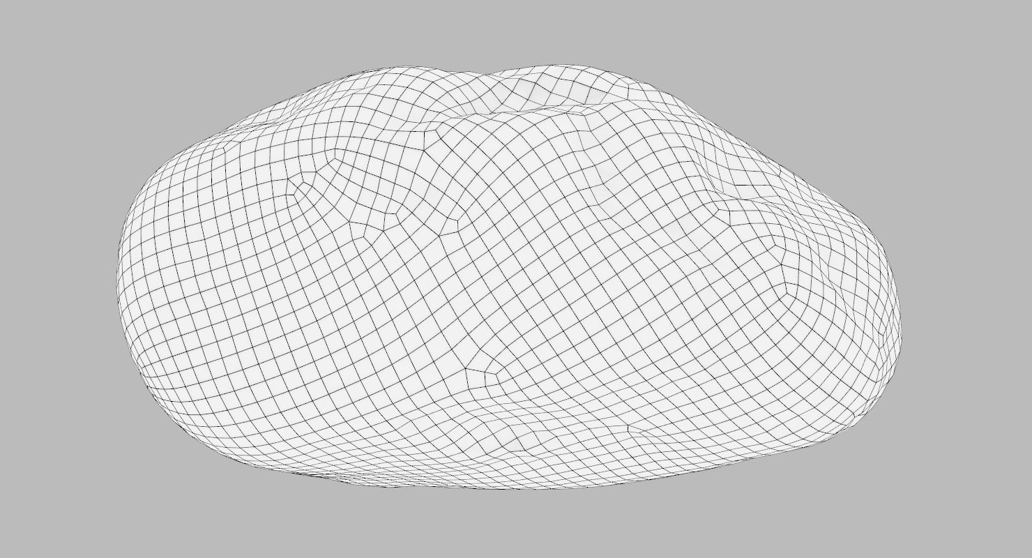 Oblong Rock 3D model_19