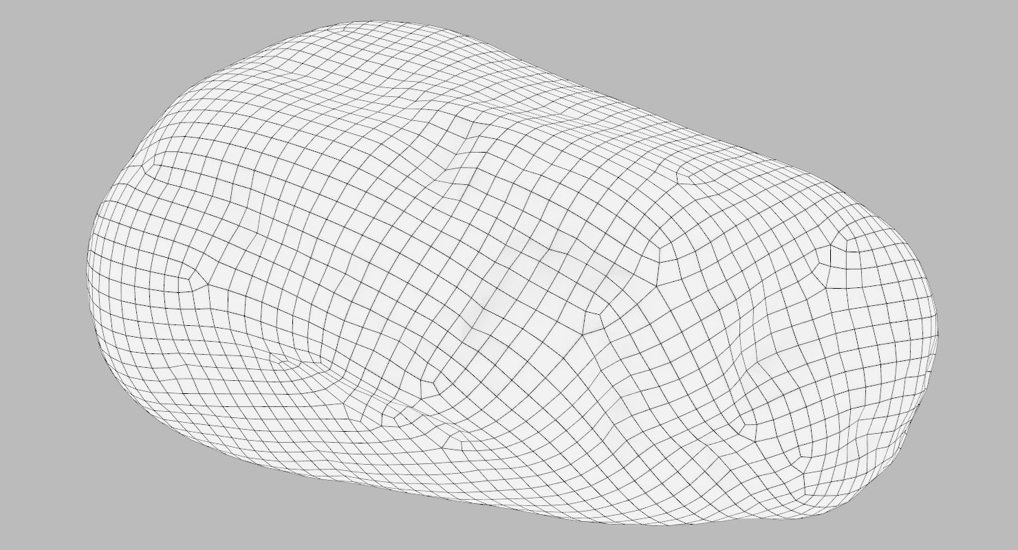 Oblong Rock 3D model_18