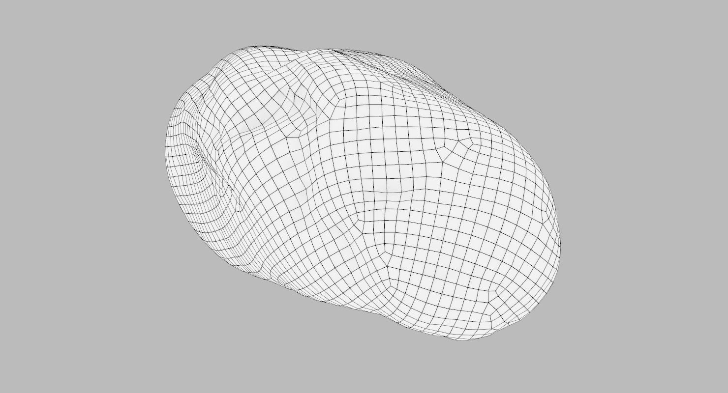 Oblong Rock 3D model_12