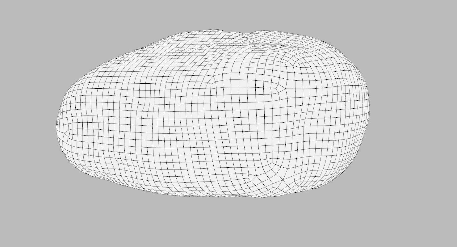 Oblong Rock 3D model_15