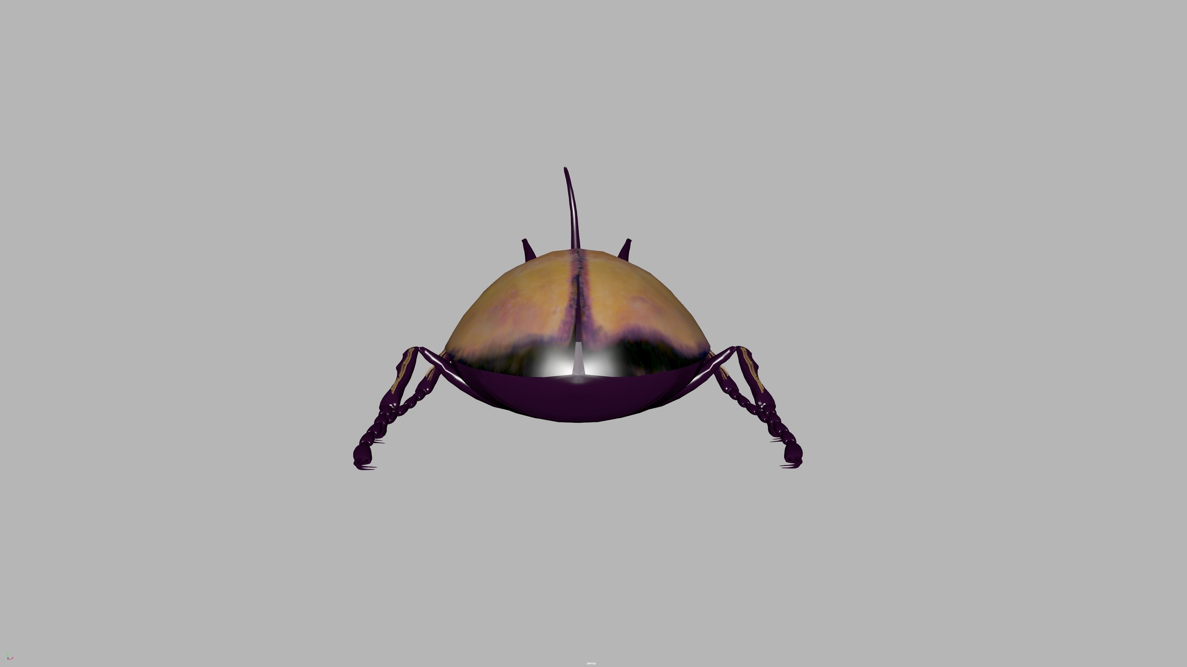 beetle 3D model_10