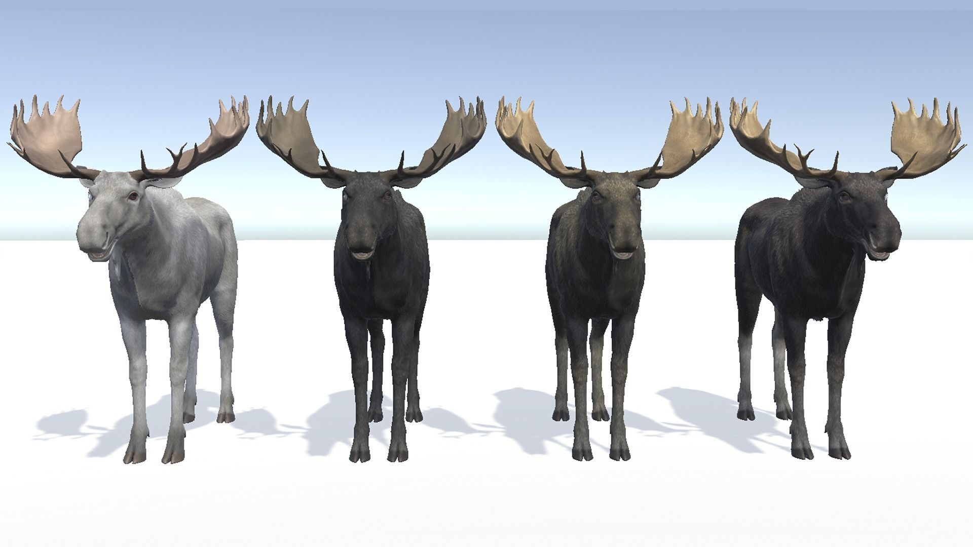 Moose - Bull Low-poly 3D model_8