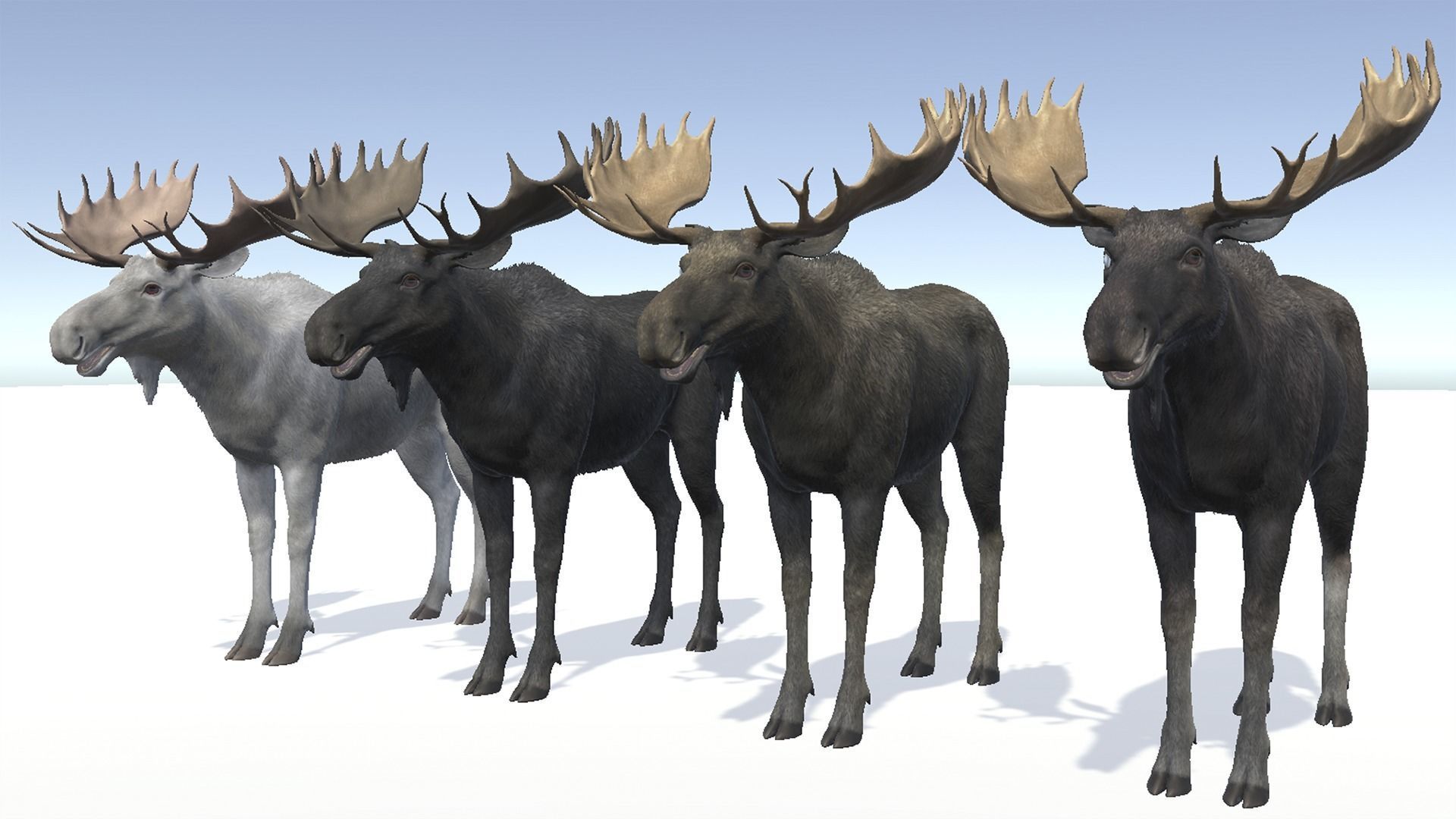 Moose - Bull Low-poly 3D model_7