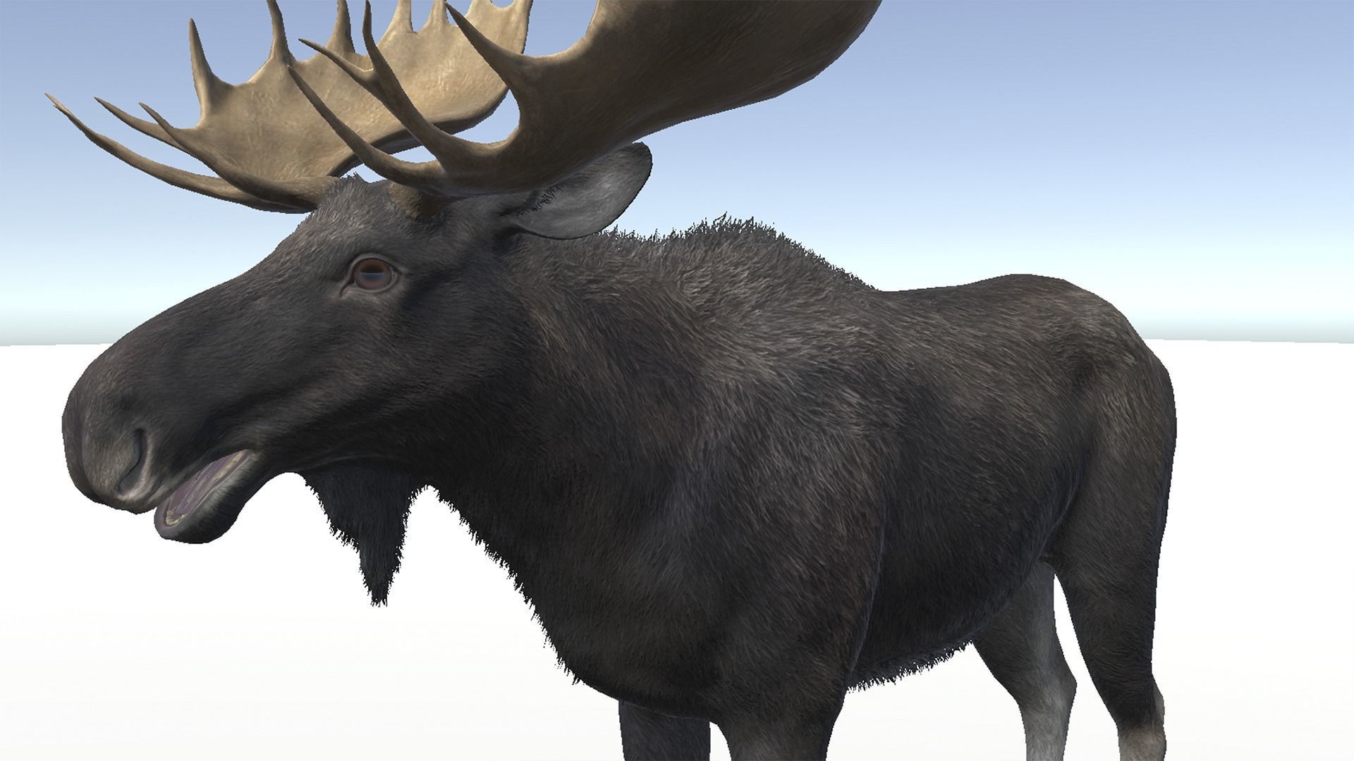 Moose - Bull Low-poly 3D model_12