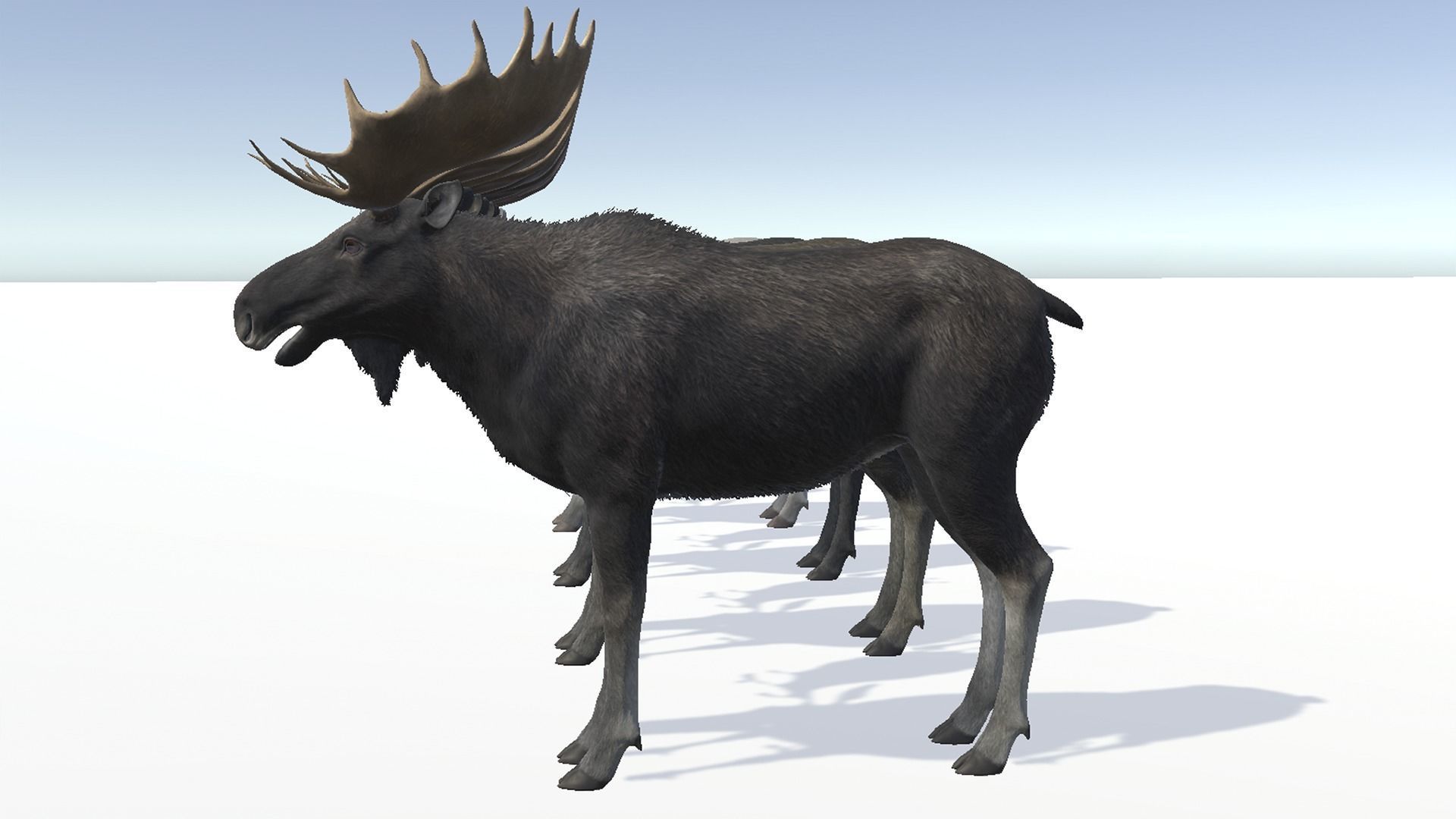 Moose - Bull Low-poly 3D model_10