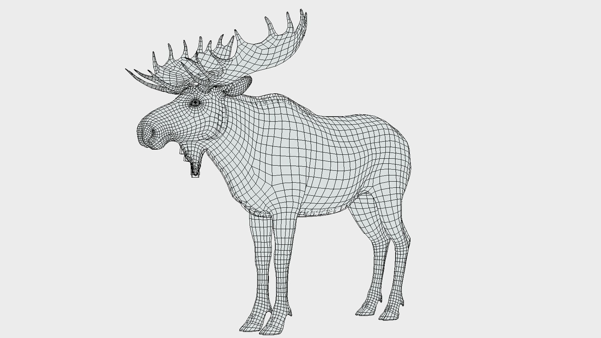 Moose - Bull Low-poly 3D model_15