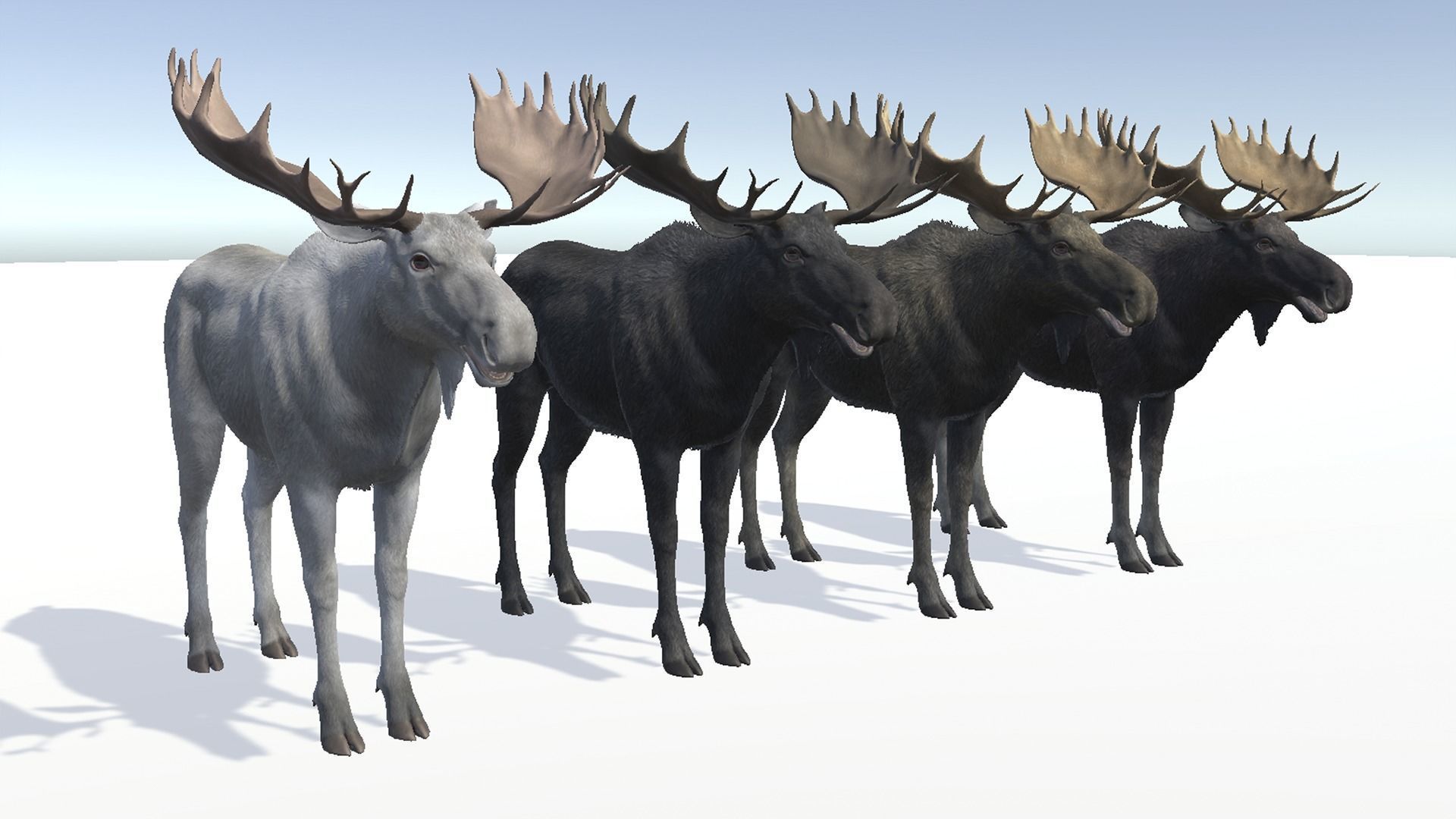 Moose - Bull Low-poly 3D model_9
