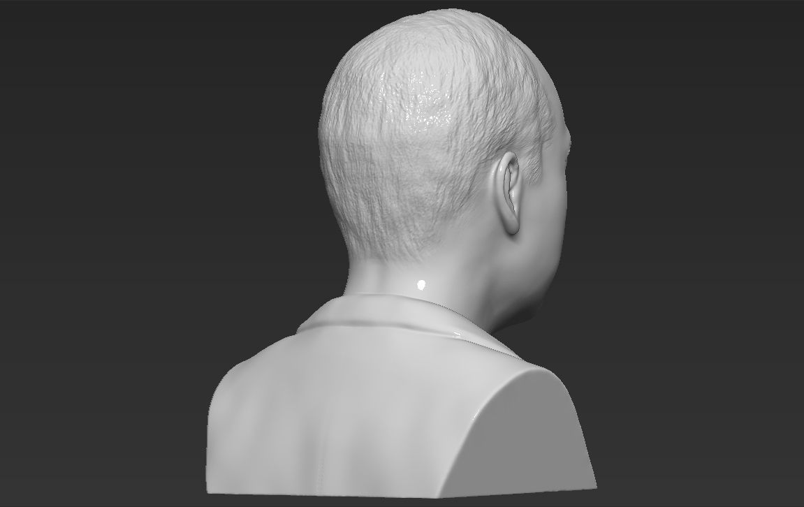 Prince William bust 3D printing ready stl obj formats 3D print model_6