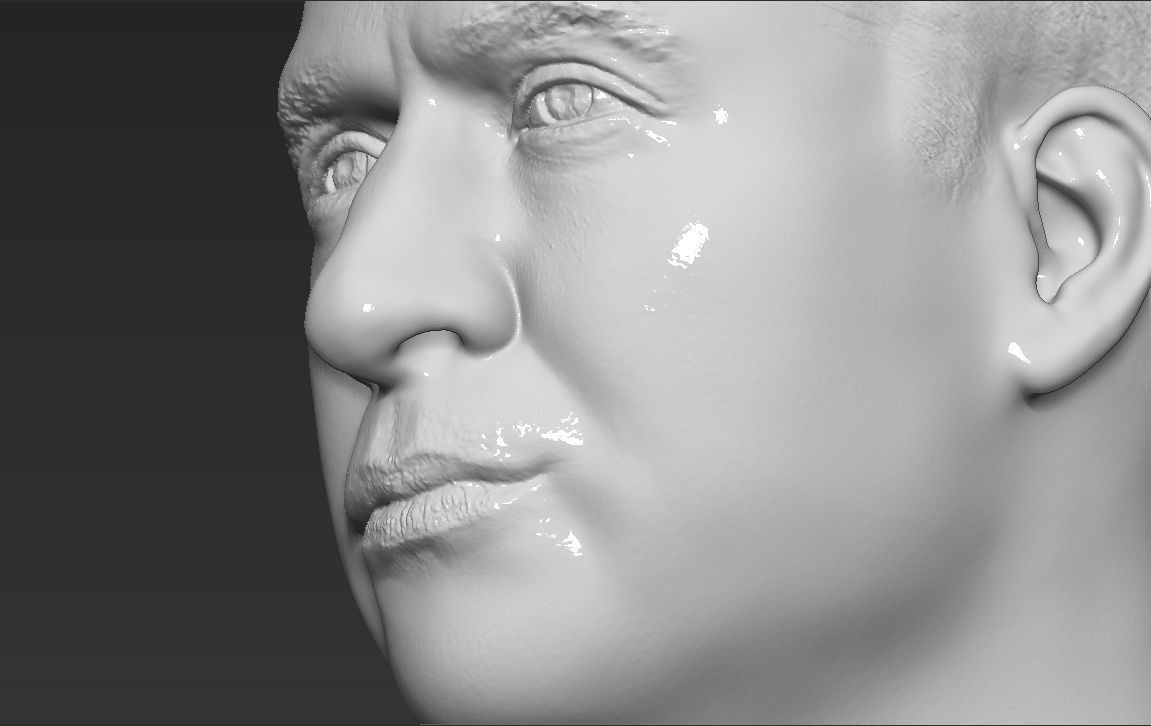 Prince William bust 3D printing ready stl obj formats 3D print model_24