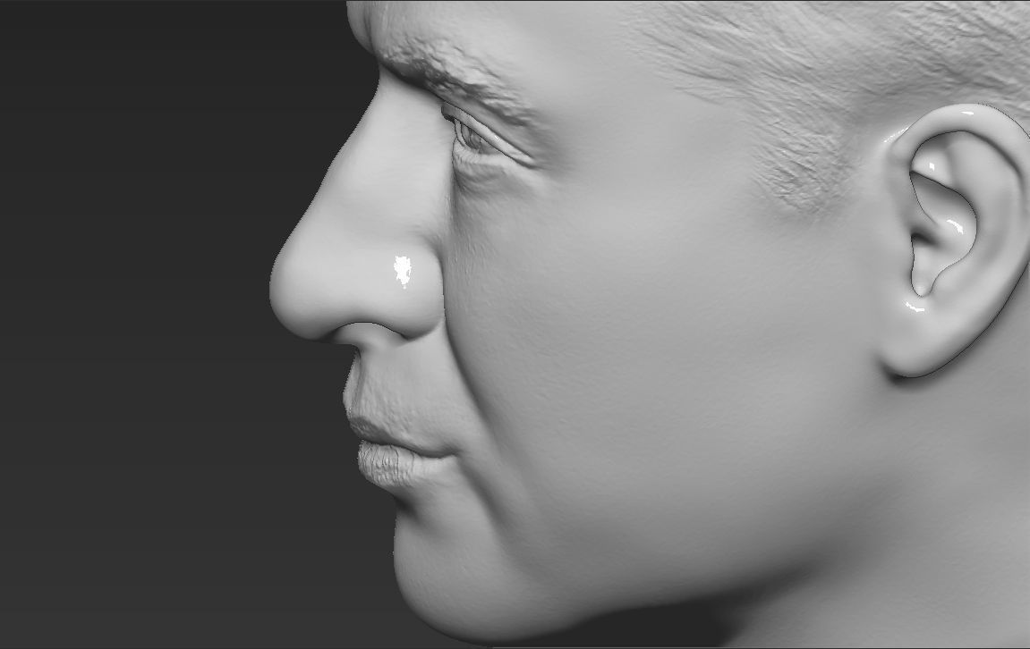 Prince William bust ready for full color 3D printing 3D print model_48