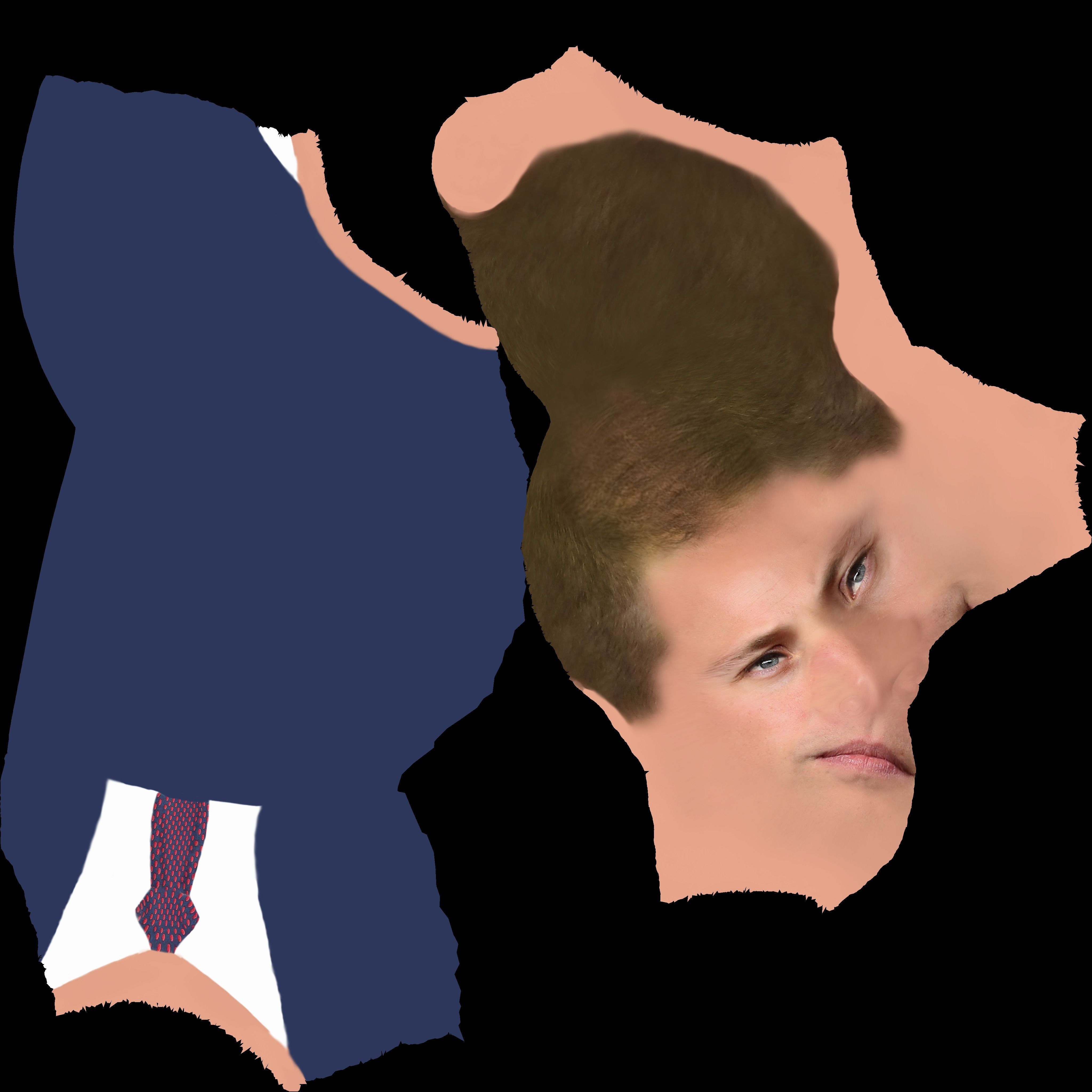 Prince William bust ready for full color 3D printing 3D print model_54