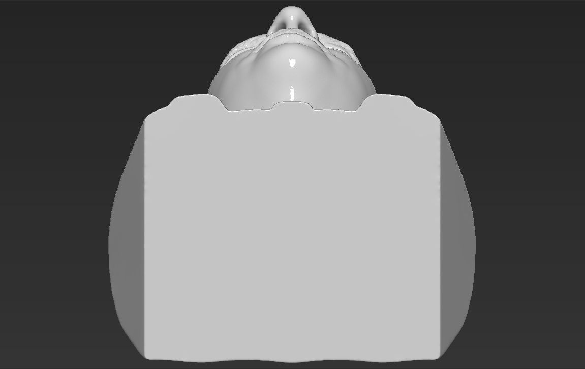 Prince William bust ready for full color 3D printing 3D print model_41