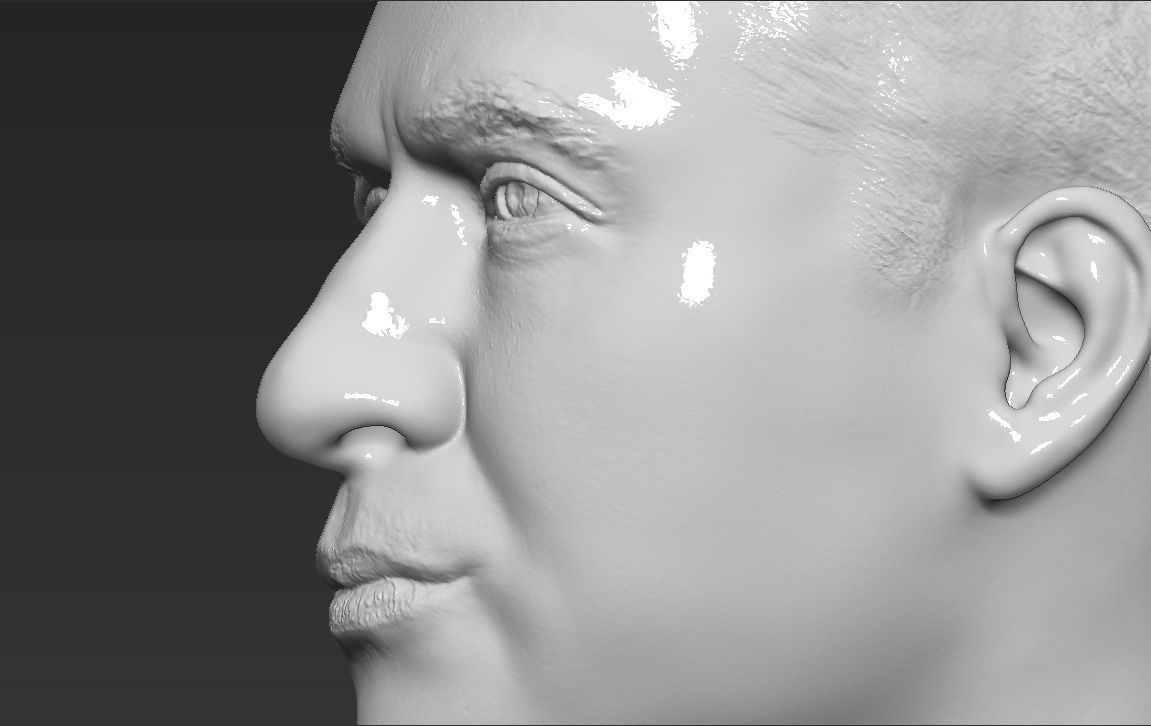 Prince William bust ready for full color 3D printing 3D print model_45