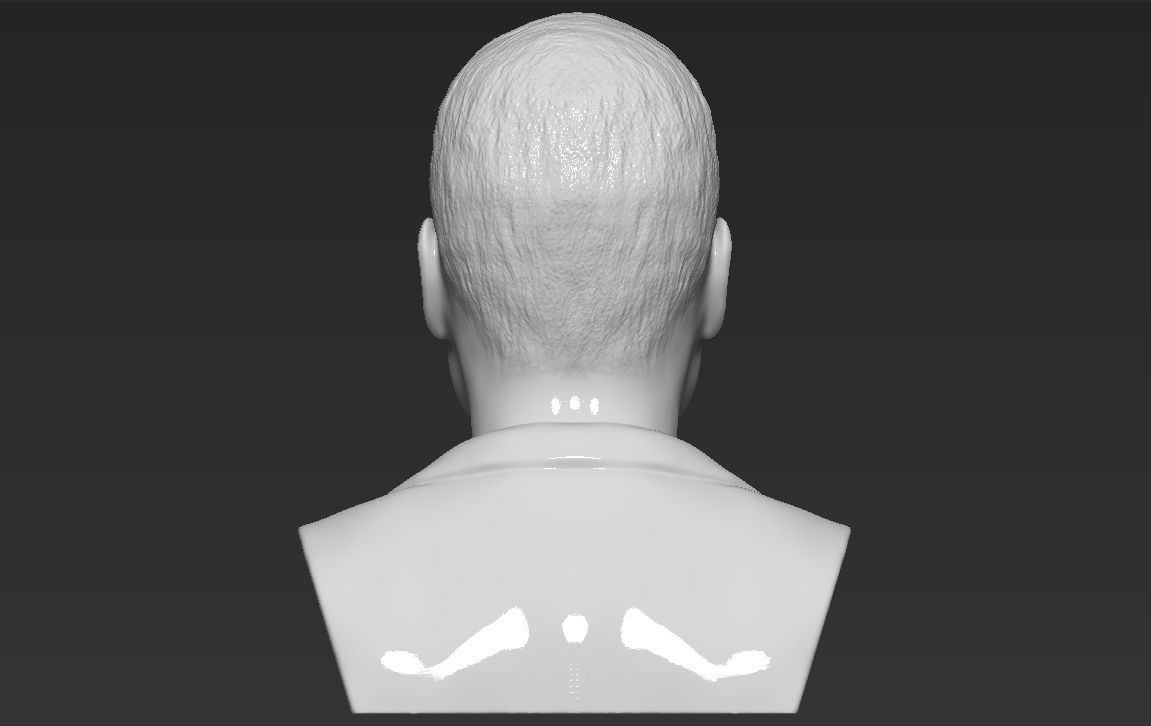 Prince William bust ready for full color 3D printing 3D print model_28