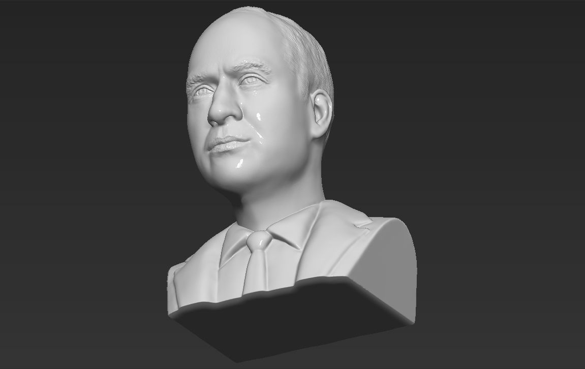 Prince William bust ready for full color 3D printing 3D print model_39