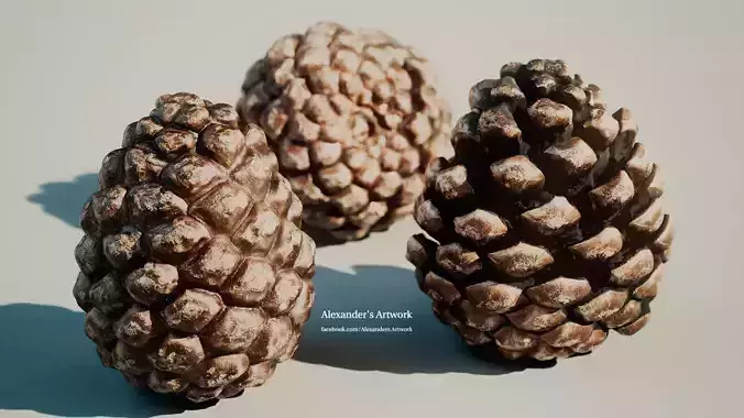 Pine-Cone Model - SubstanceDesigner-Extractor Asset - Hip Indie Free 3D model