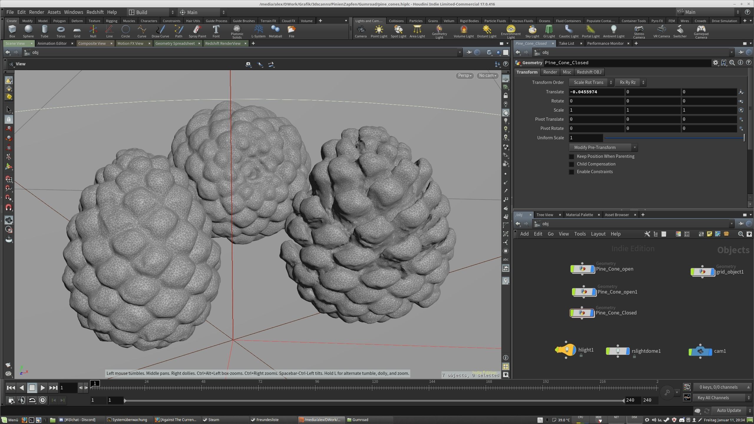 Pine-Cone Model - SubstanceDesigner-Extractor Asset - Hip Indie Free 3D model_2