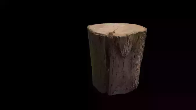 Realistic 3D model Scanning Trunk HD for print Free low-poly 3D model