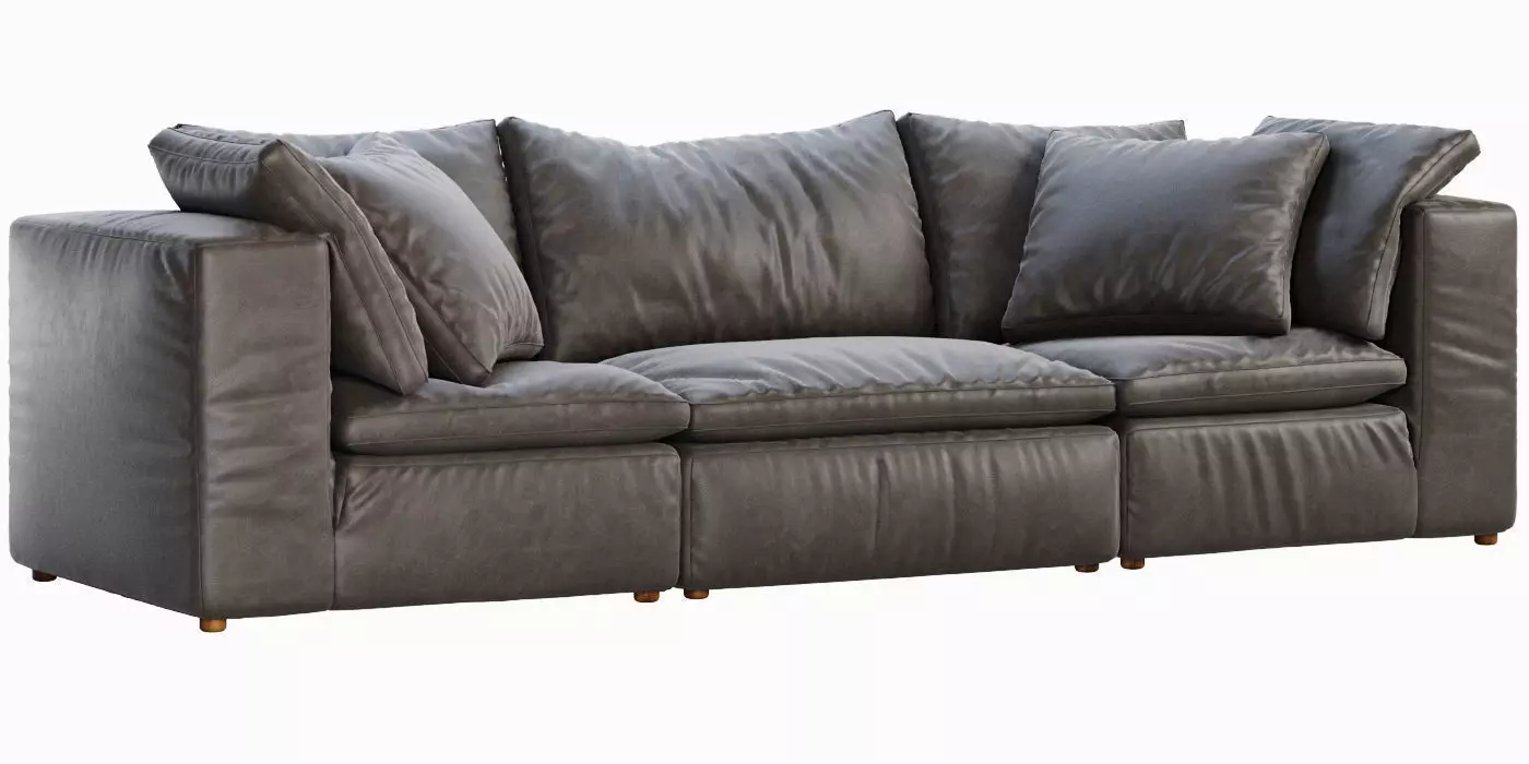 RH Cloud Modular Leather Sofa 3D model_0