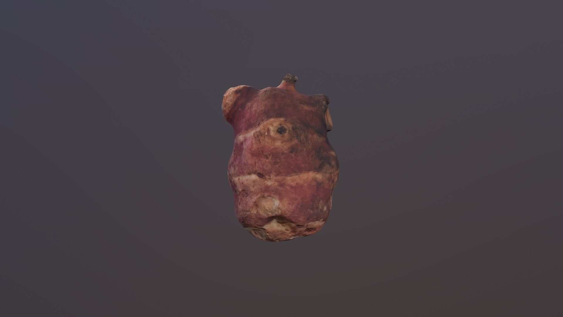 Jerusalem artichoke Low Poly Low-poly 3D model_7