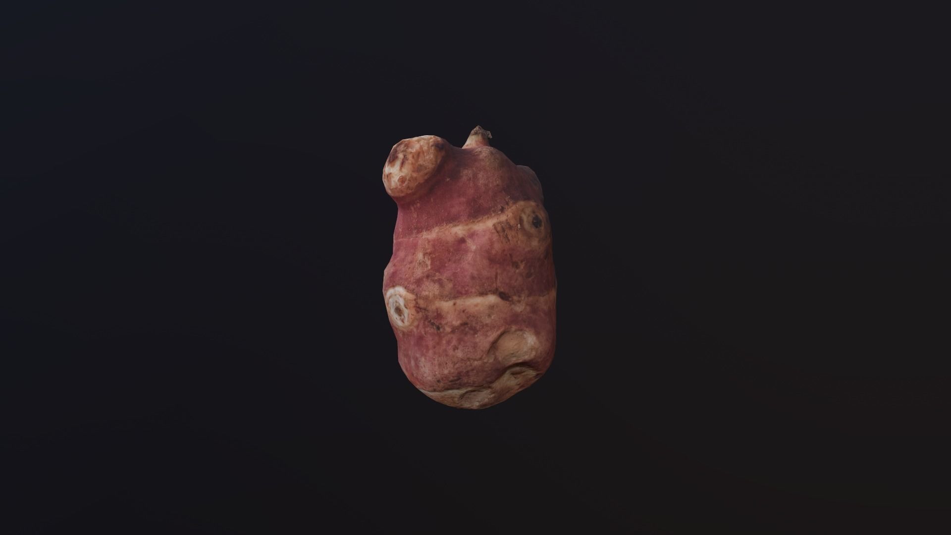 Jerusalem artichoke Low Poly Low-poly 3D model_4