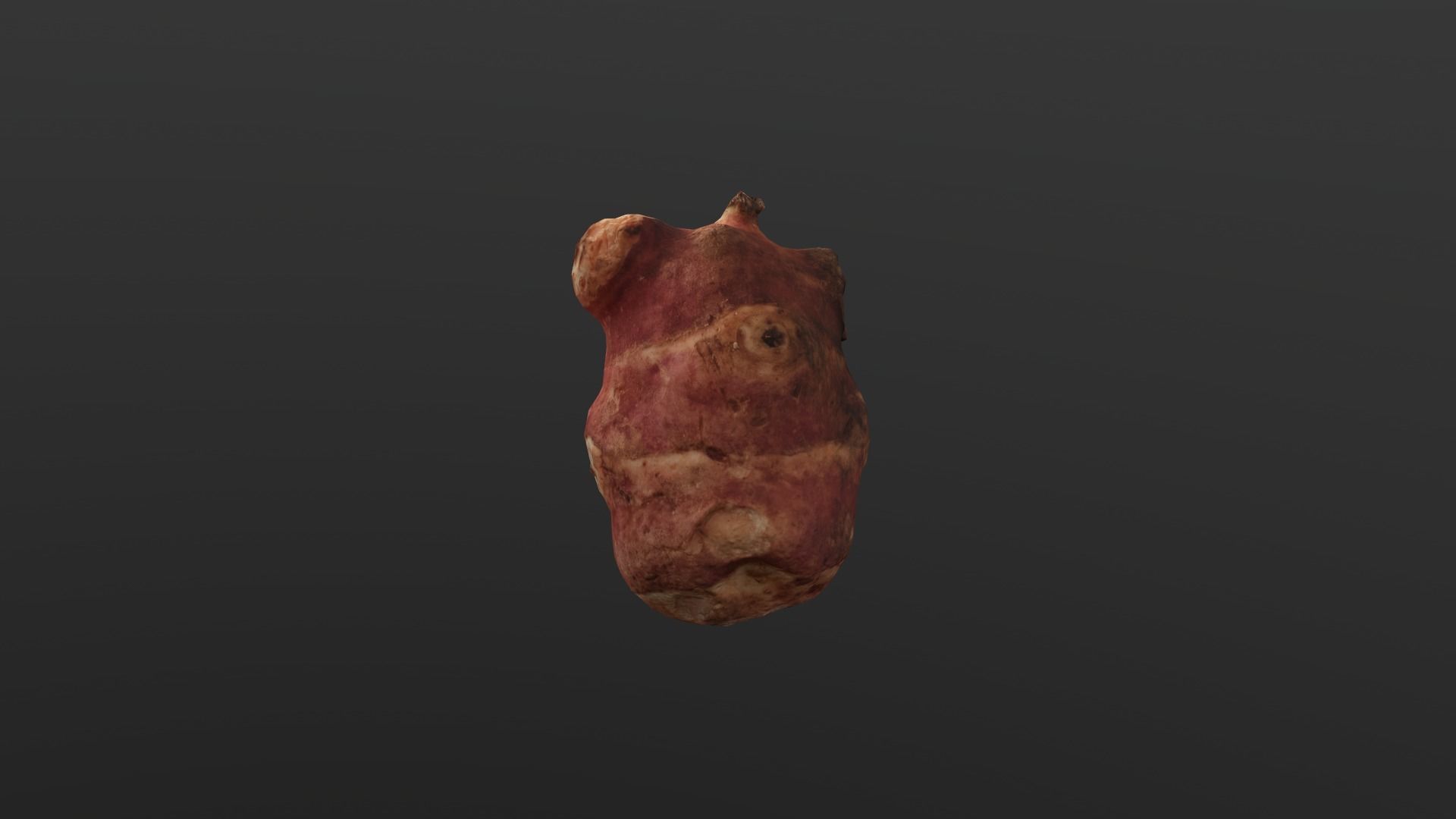 Jerusalem artichoke Low Poly Low-poly 3D model_6