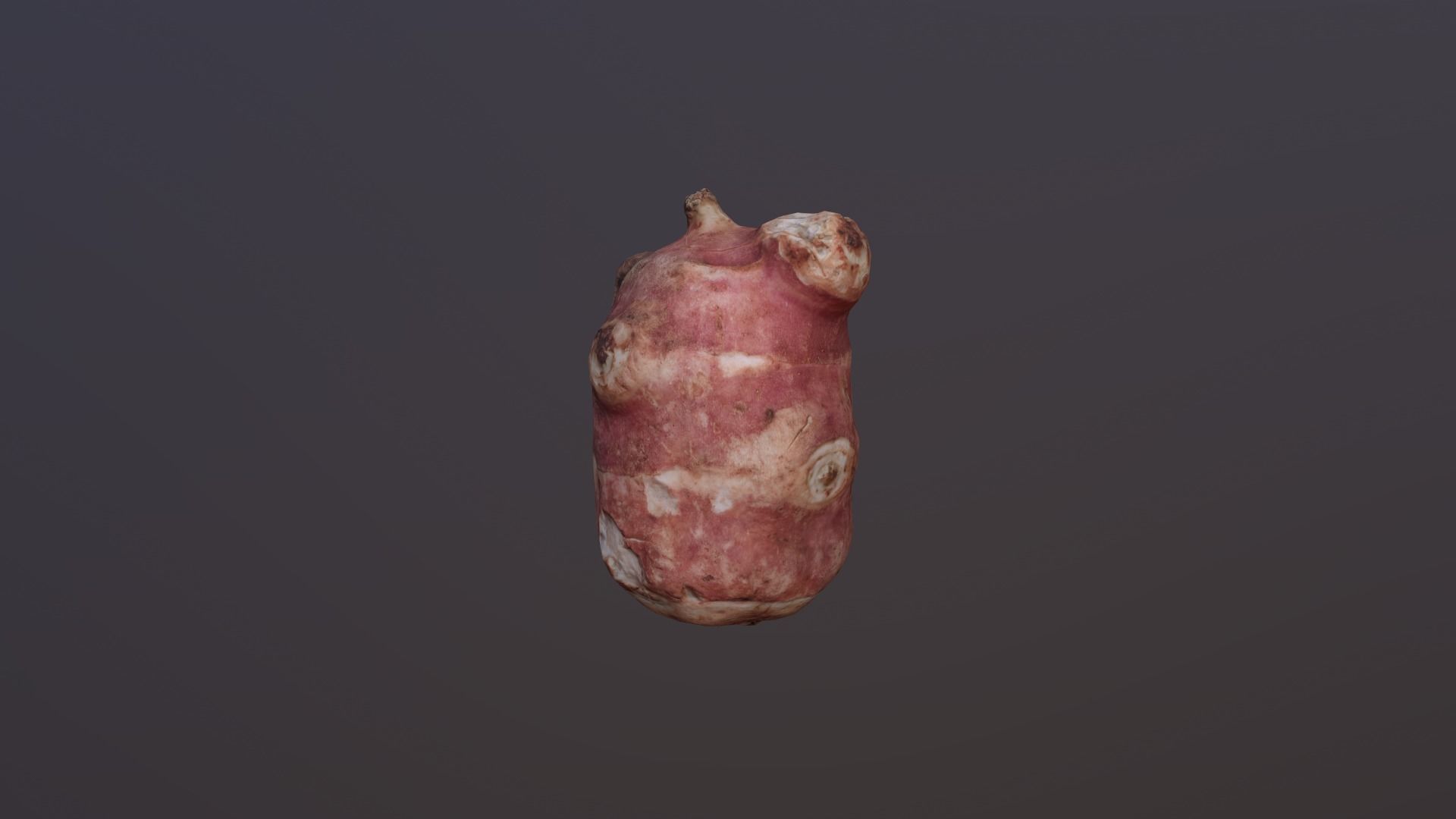Jerusalem artichoke Low Poly Low-poly 3D model_2