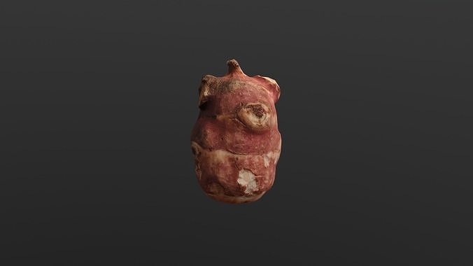 Jerusalem artichoke Low Poly Low-poly 3D model
