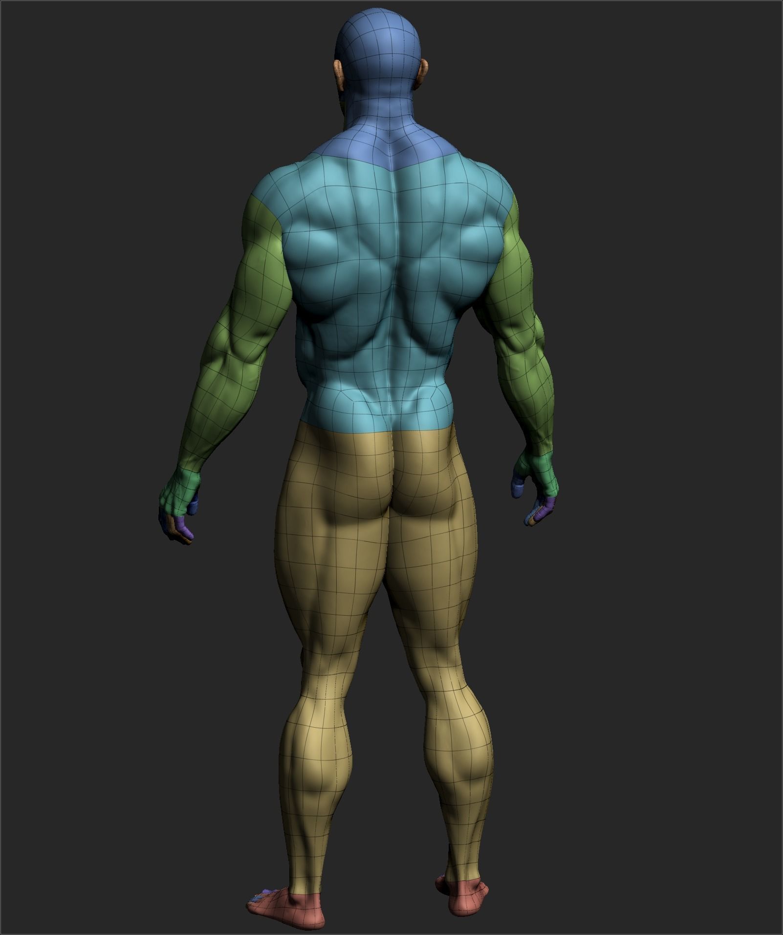Male Basemesh ZBRUSH 10 3D model_6