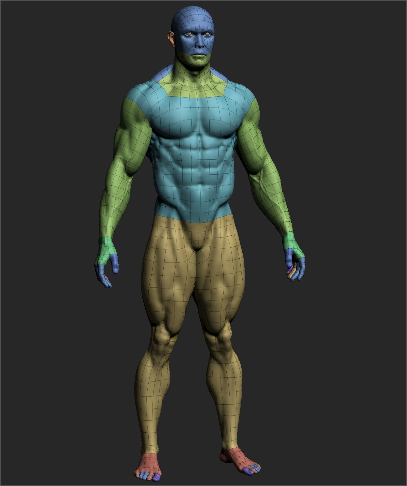 Male Basemesh ZBRUSH 10 3D model_5