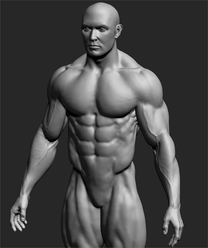 Male Basemesh ZBRUSH 10 3D model