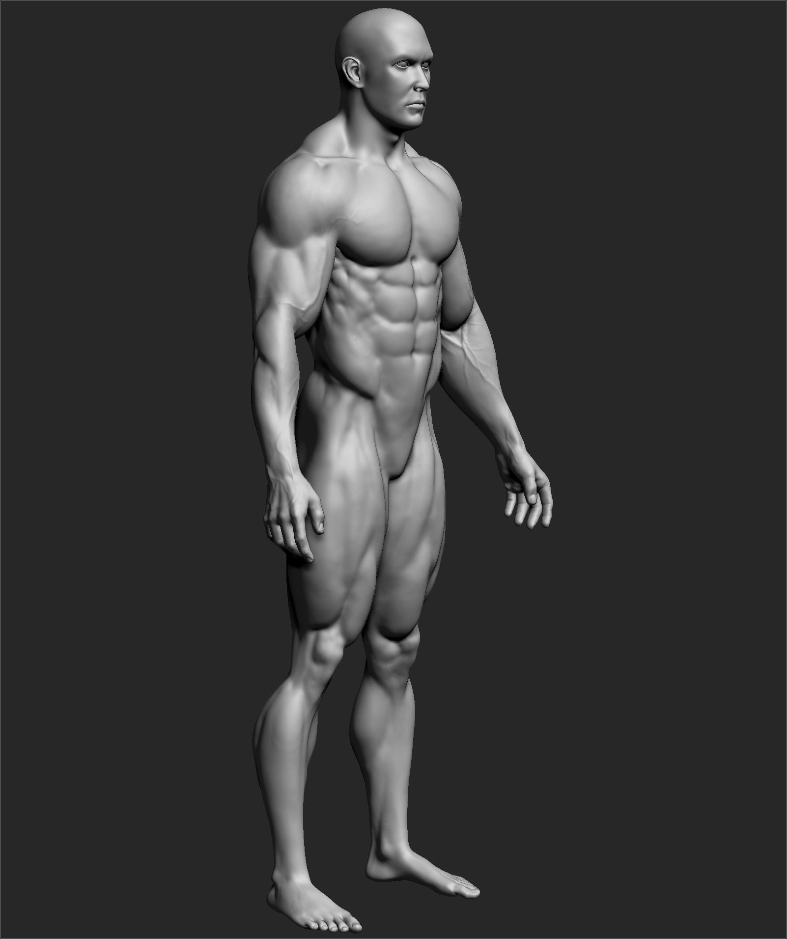 Male Basemesh ZBRUSH 10 3D model_4