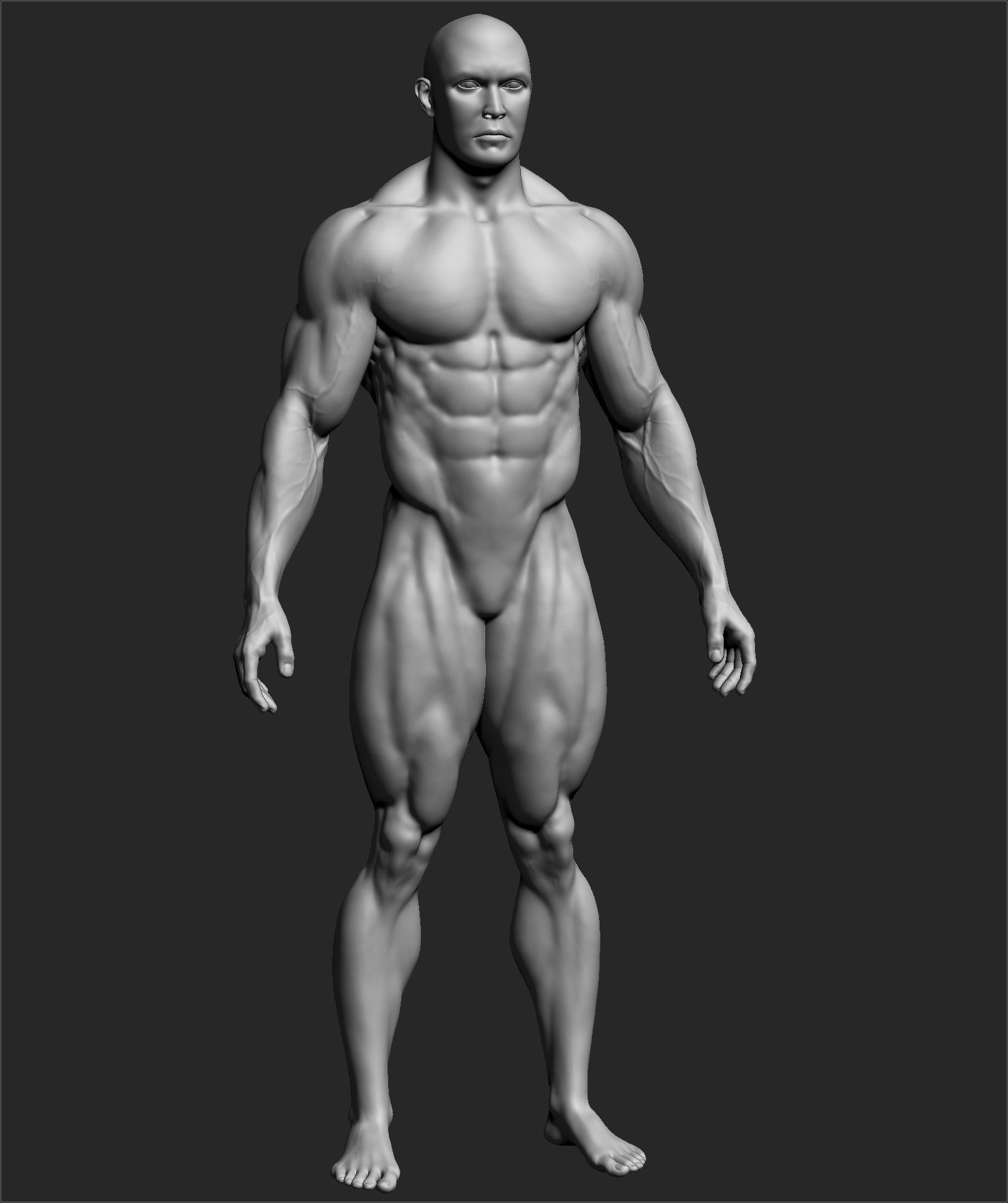 Male Basemesh ZBRUSH 10 3D model_2