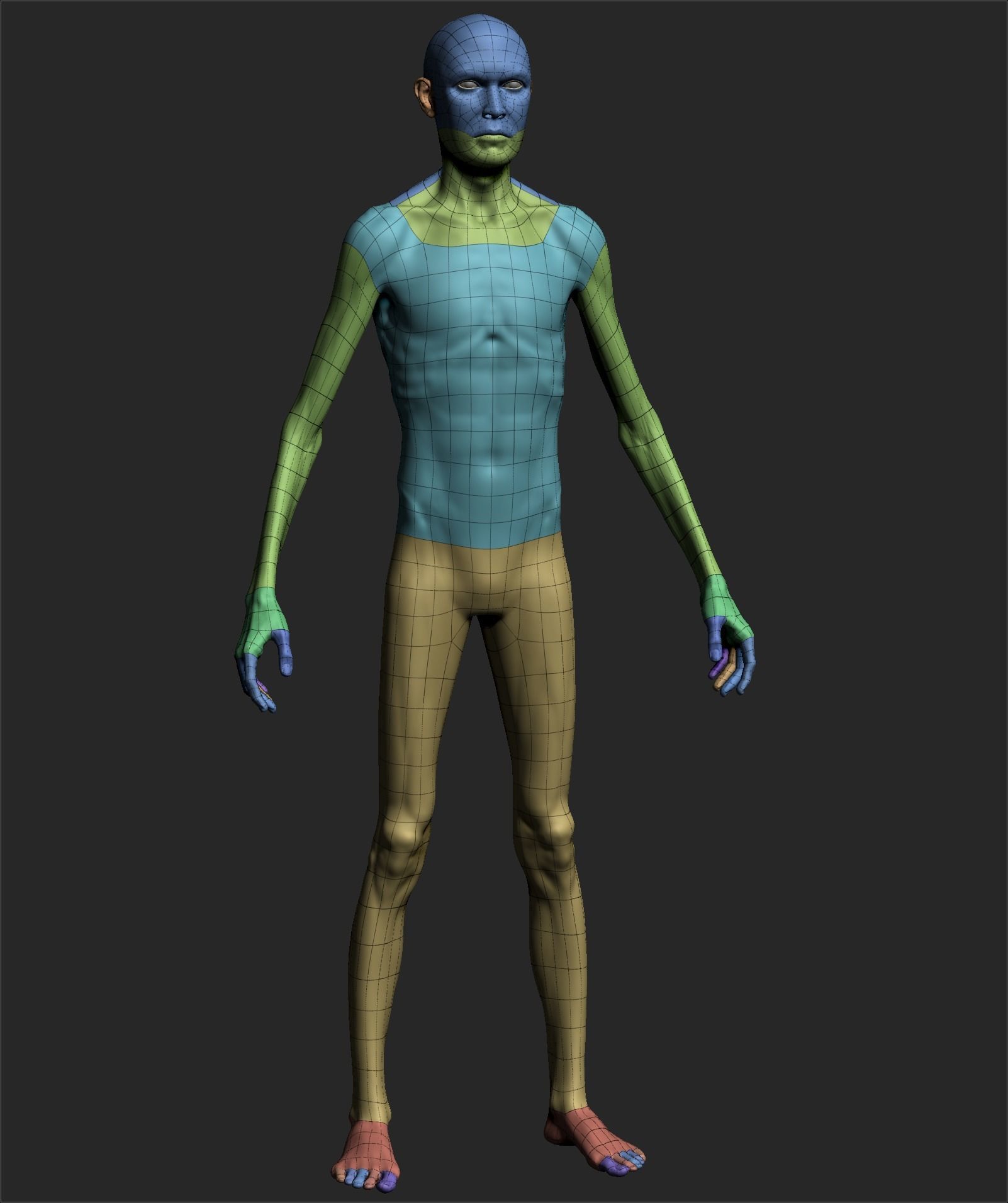 Male Basemesh ZBRUSH 02 3D model_5