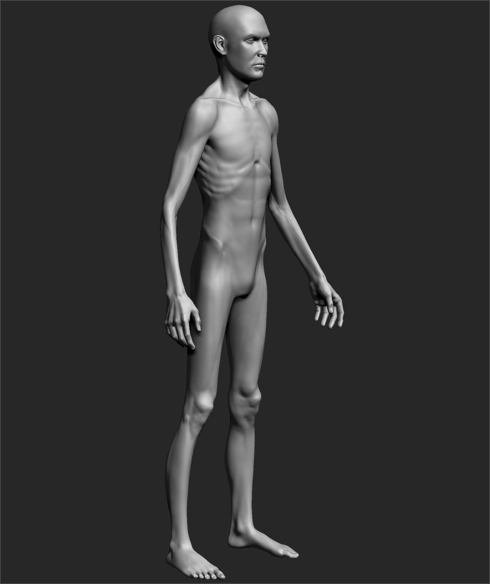 Male Basemesh ZBRUSH 02 3D model_4