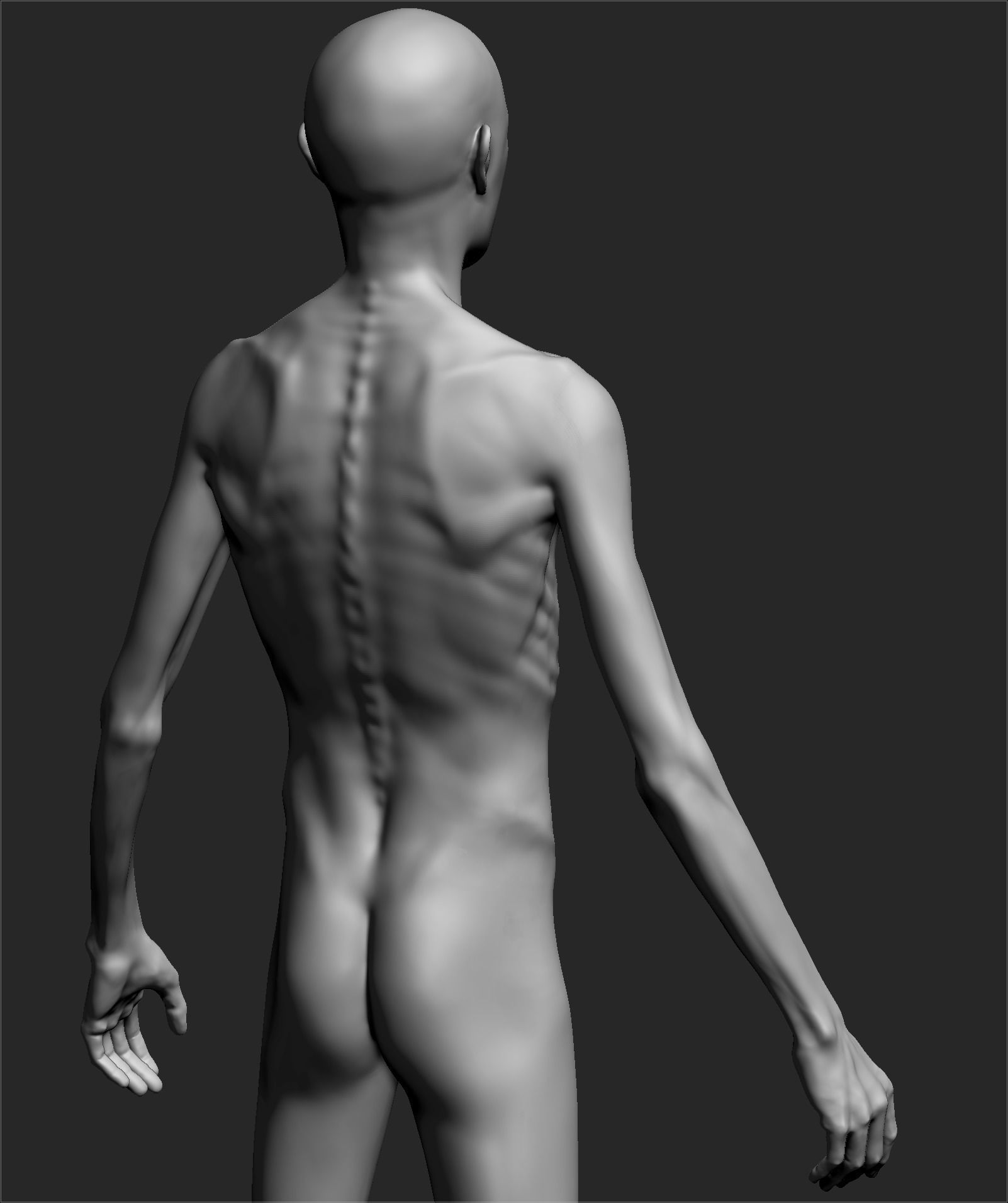 Male Basemesh ZBRUSH 02 3D model_1