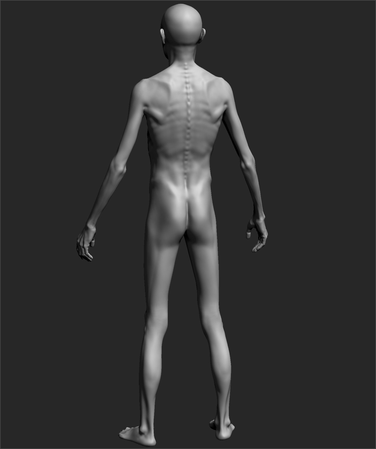 Male Basemesh ZBRUSH 02 3D model_3