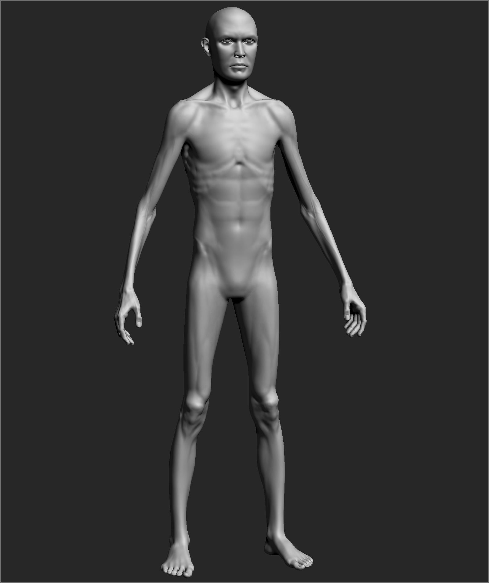 Male Basemesh ZBRUSH 02 3D model_2