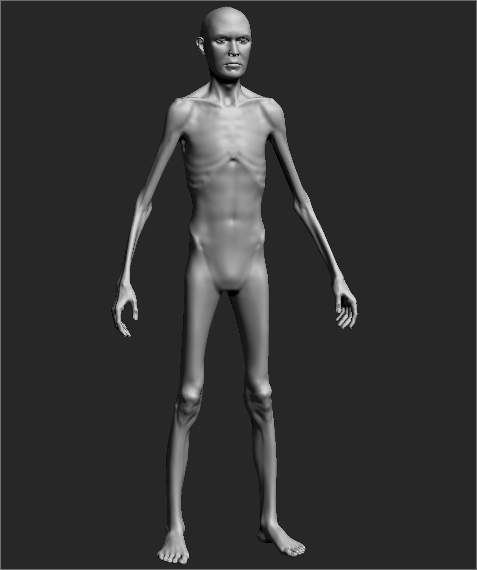 Male Basemesh ZBRUSH 00 3D model_3